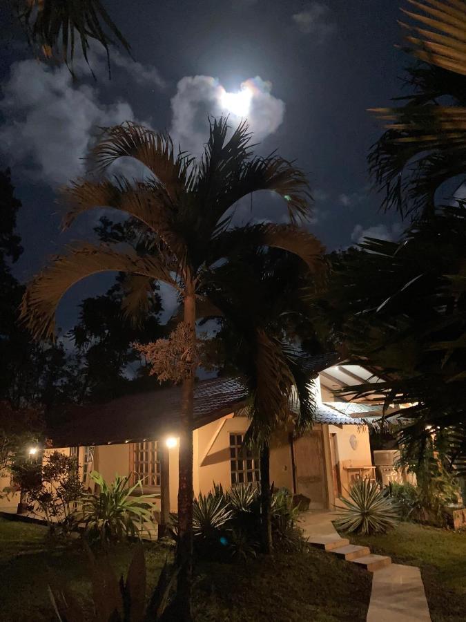 Pura Vida Vegana Cahuita Exterior foto